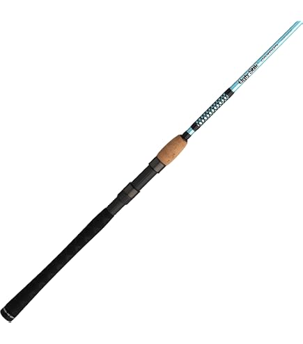 Amazon | ダイワ(DAIWA) ライン付リール BG4000 SPミノーキット
